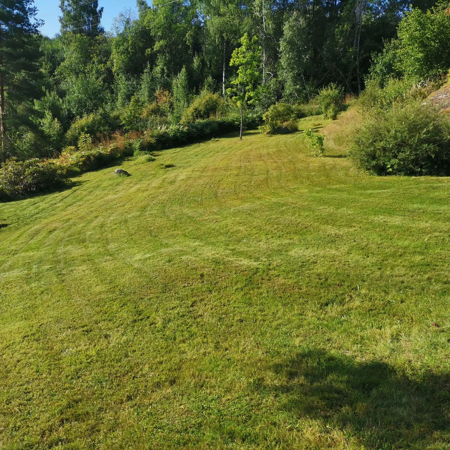 Hjem 3